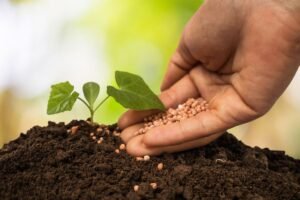 Scopri di più sull'articolo L’abc della concimazione